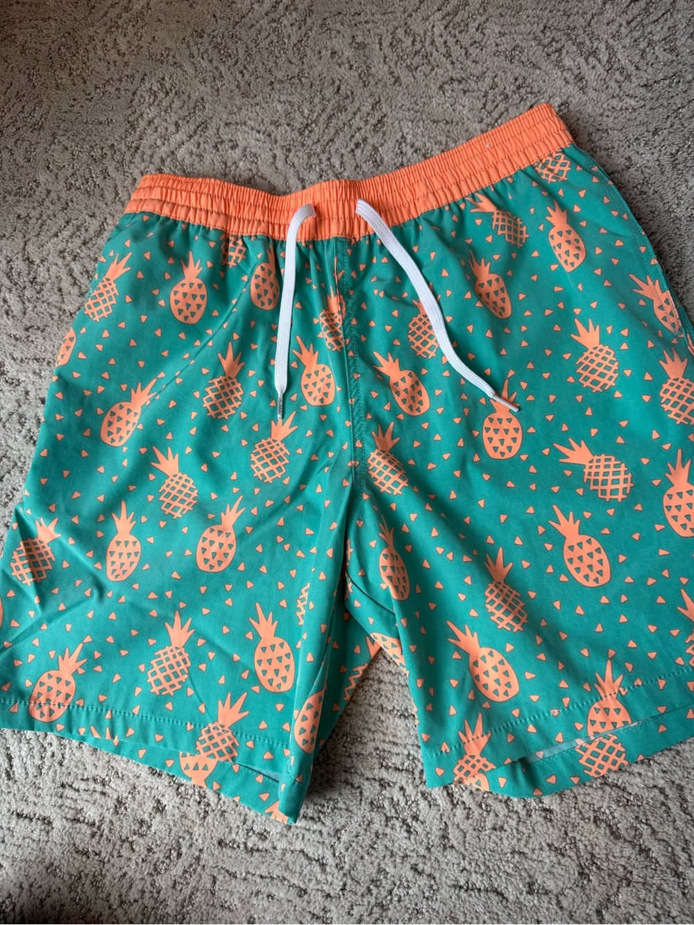 Chubbies Swim Trunks